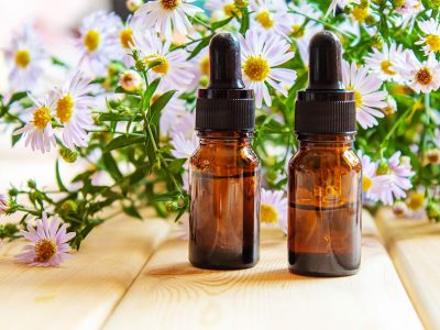 Herbal Medicine Basics