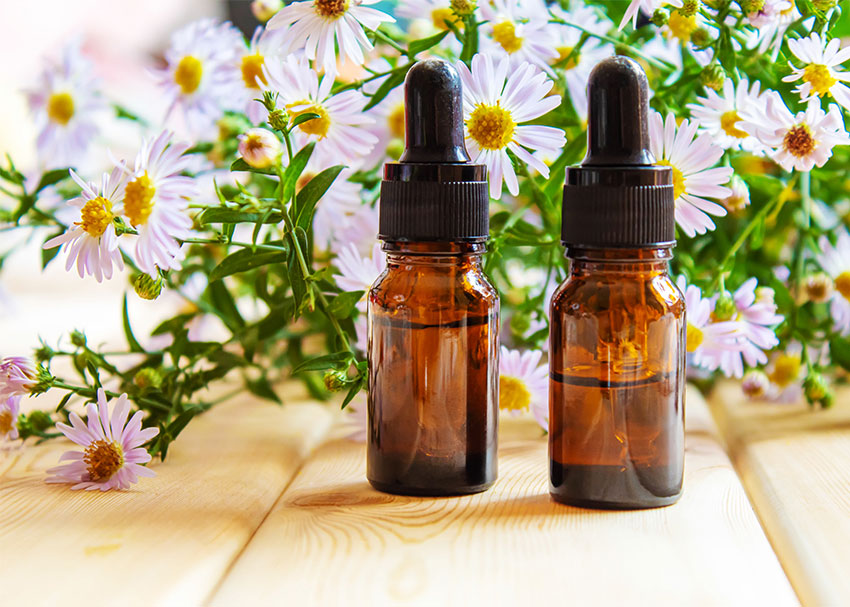 Herbal Medicine Basics
