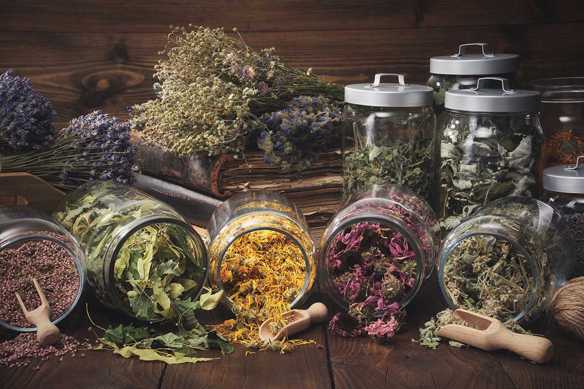History Of Herbal Medicine