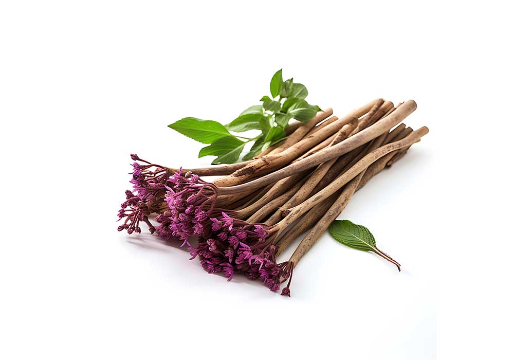 Active Compounds in Valerian Root