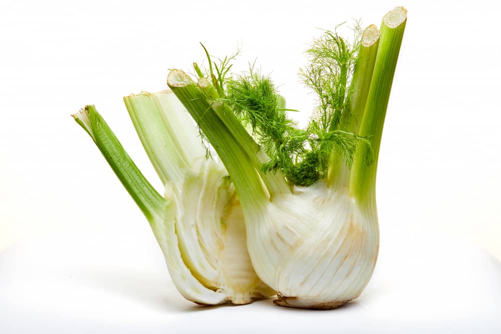 Different Uses for Fennel