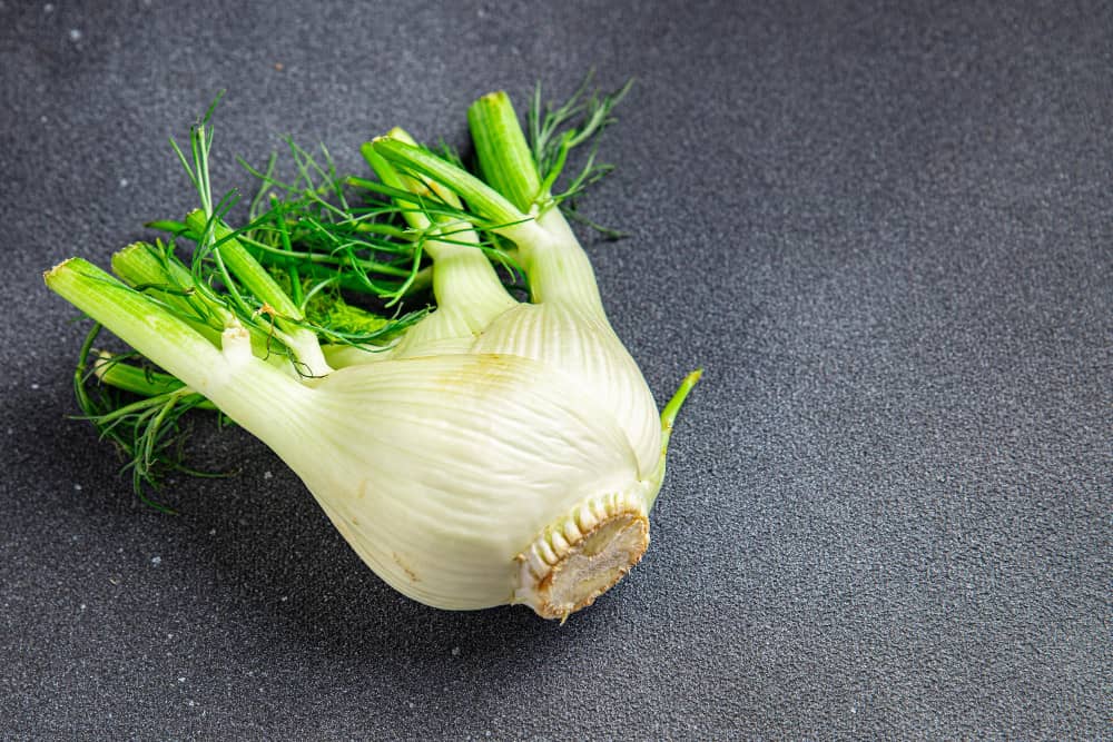 fennel root overview