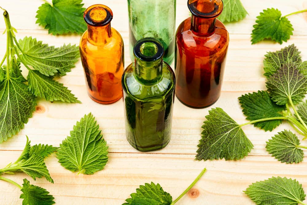 Benefits of Nettle