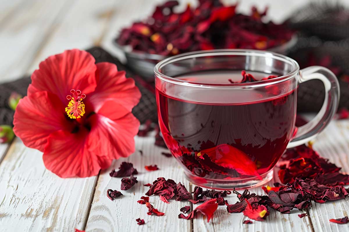 Hibiscus Nutrition and Active Plant Compounds
