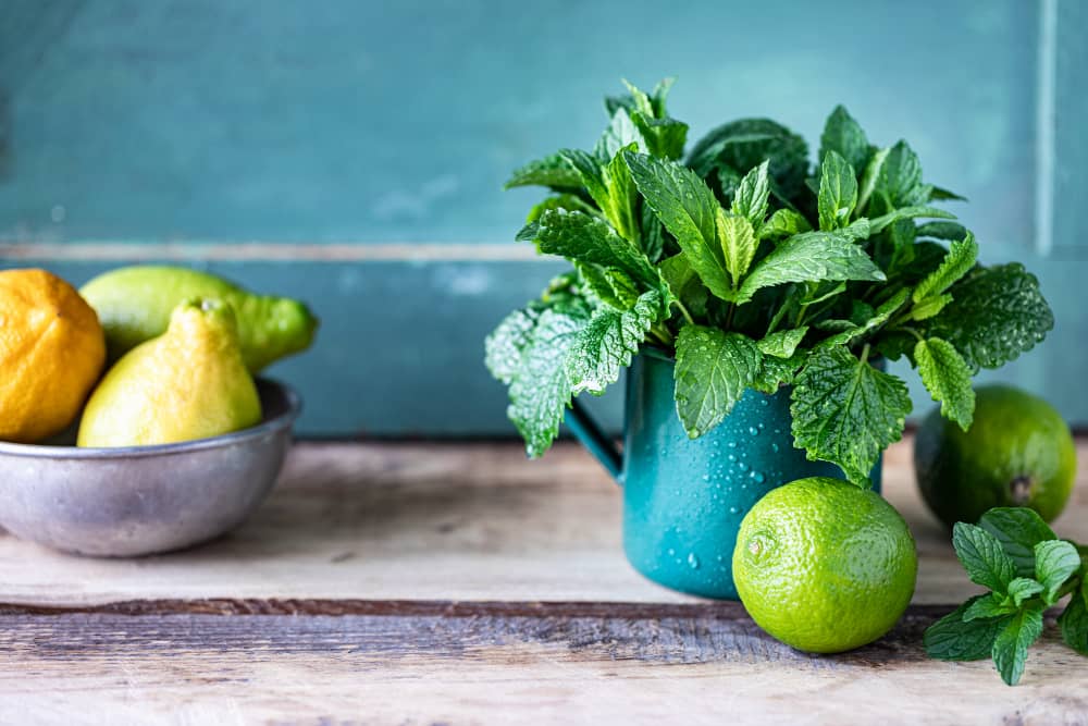Lemon Balm Melissa Origin
