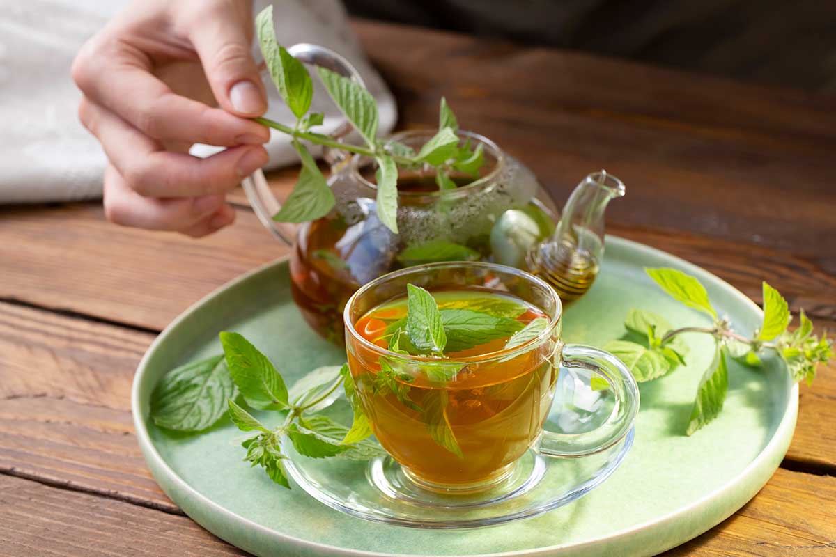 How to Make Spearmint Tea