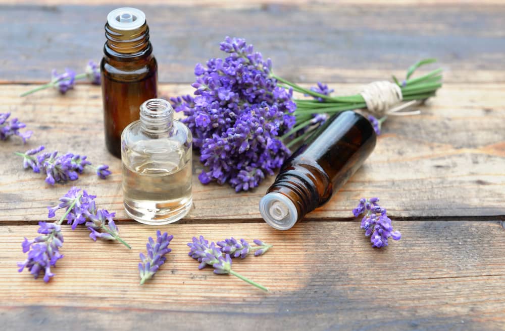 Lavender essential oil benefits