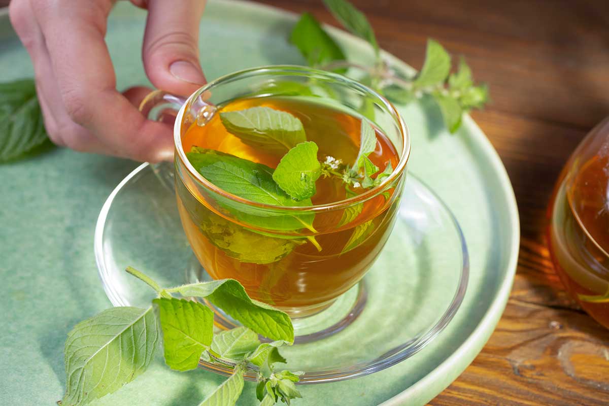 Spearmint Tea Benefits