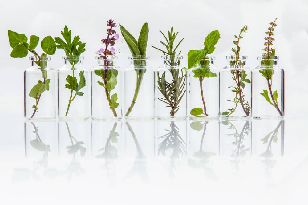 essential oil with herbs
