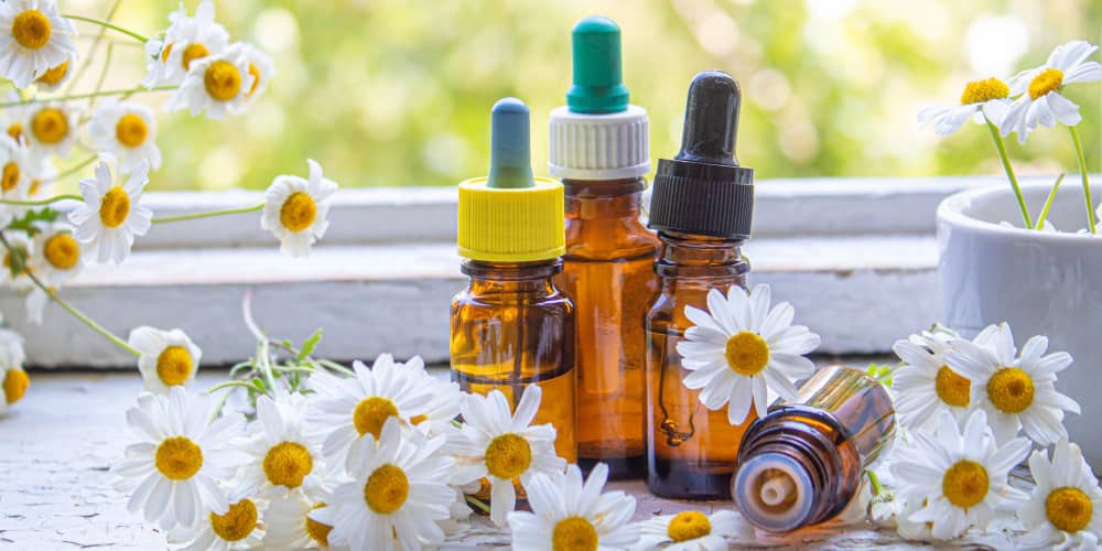 Chamomile Oil