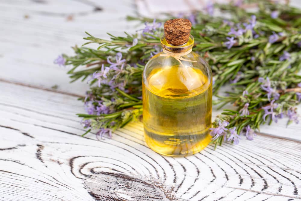 Rosemary Oil