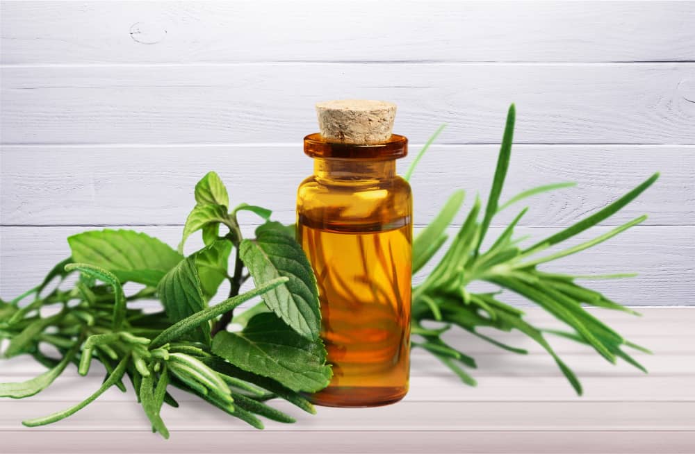 Tea Tree Oil