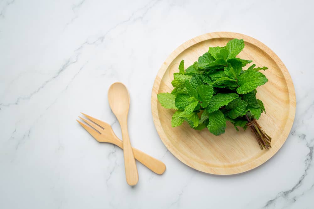 fresh green peppermint health benefits