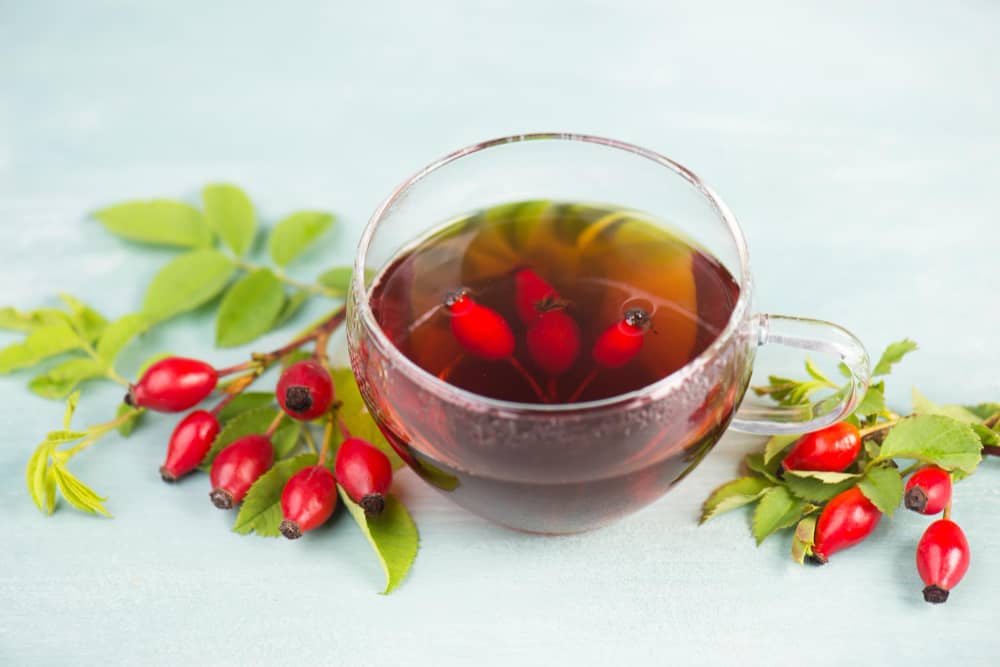 rose hips tea benefits