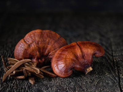 Reishi mushroom