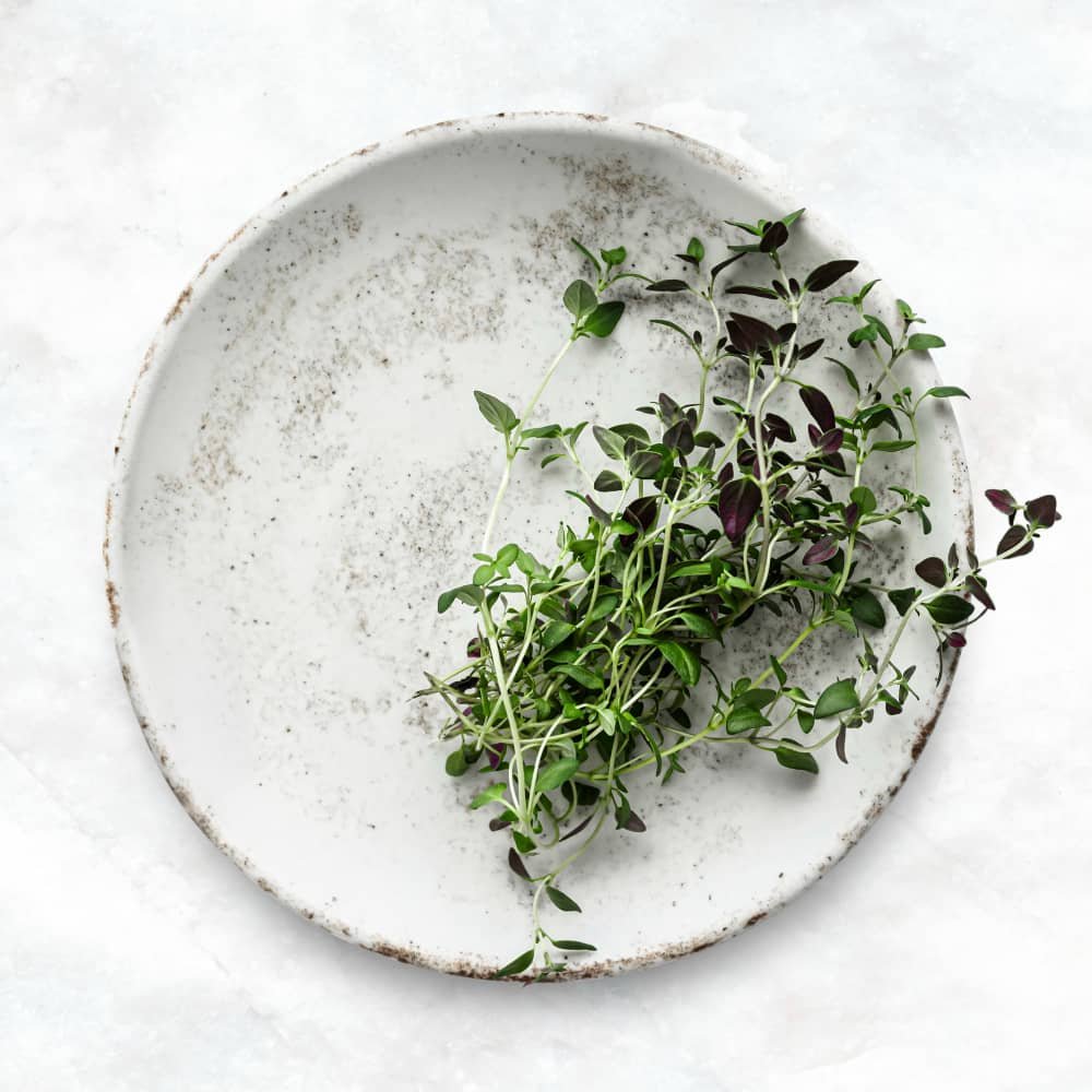 Cooking with Thyme Recipes and Tips