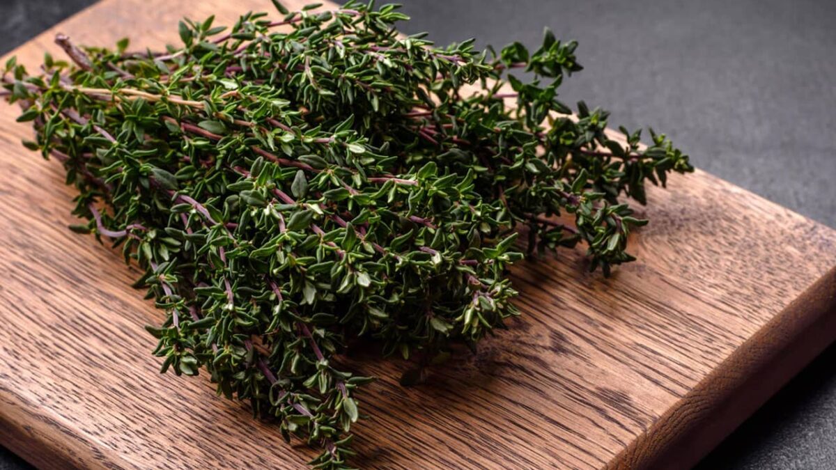 Health Benefits of Thyme