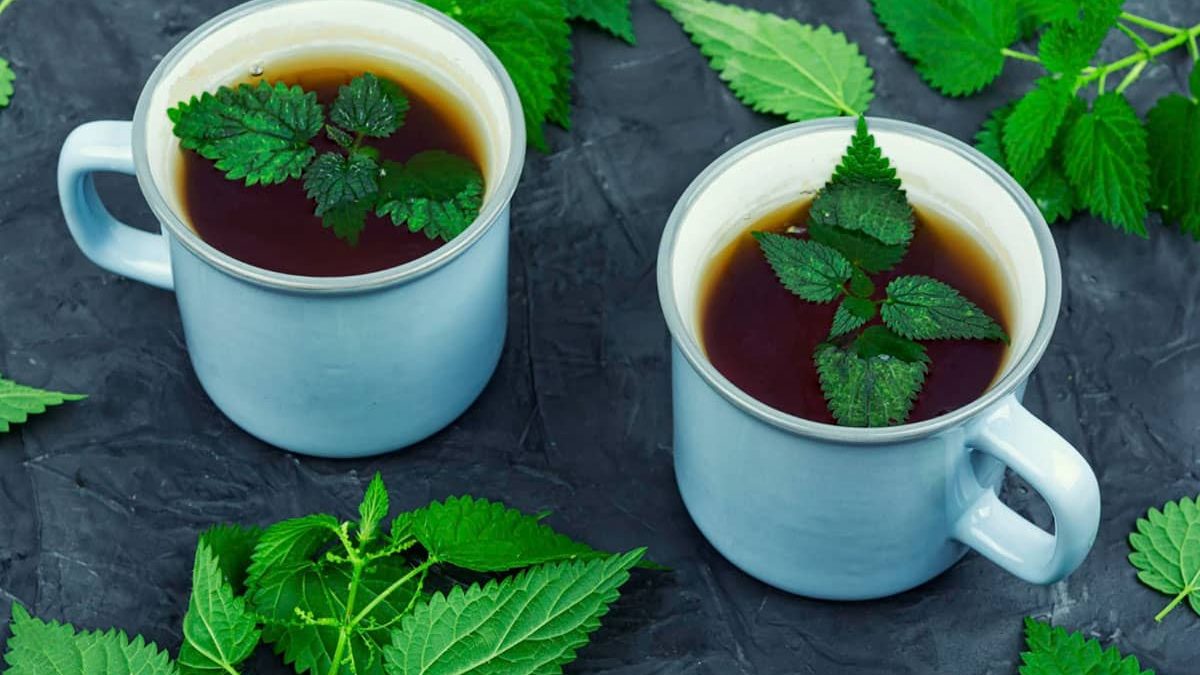 Nettle Tea benefits