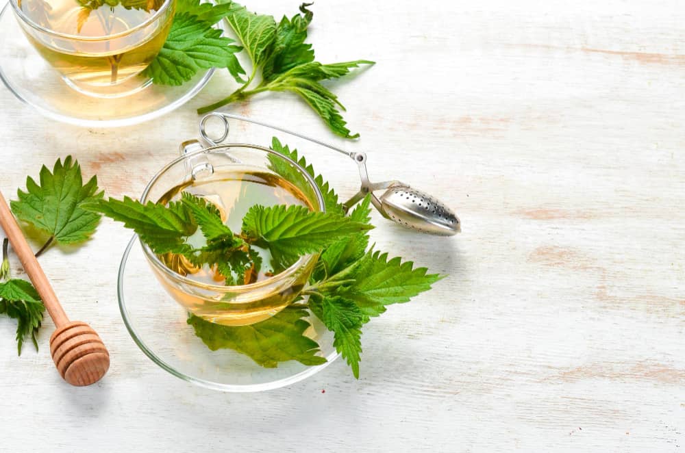 Nettle Tea benefits