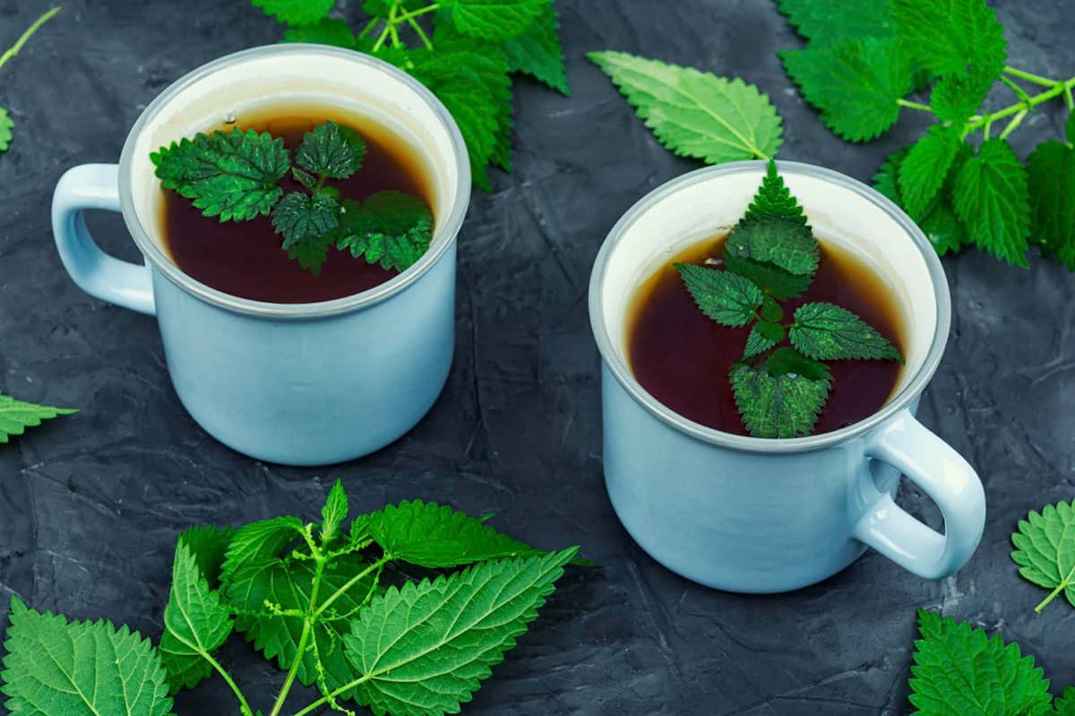 Nettle Tea benefits