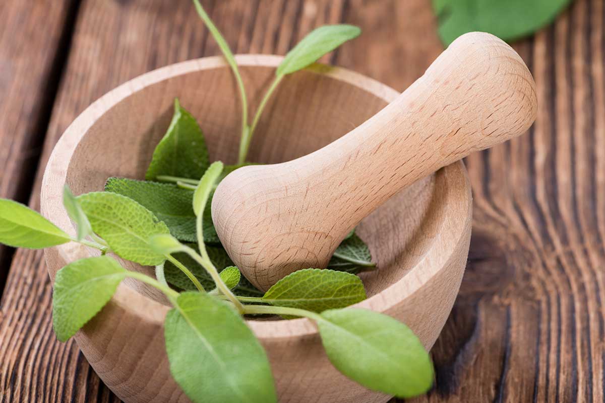 Plant Compounds Found in Sage