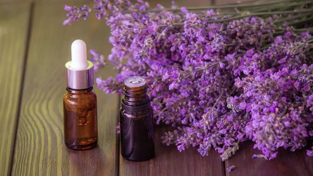 Lavender Essential Oil