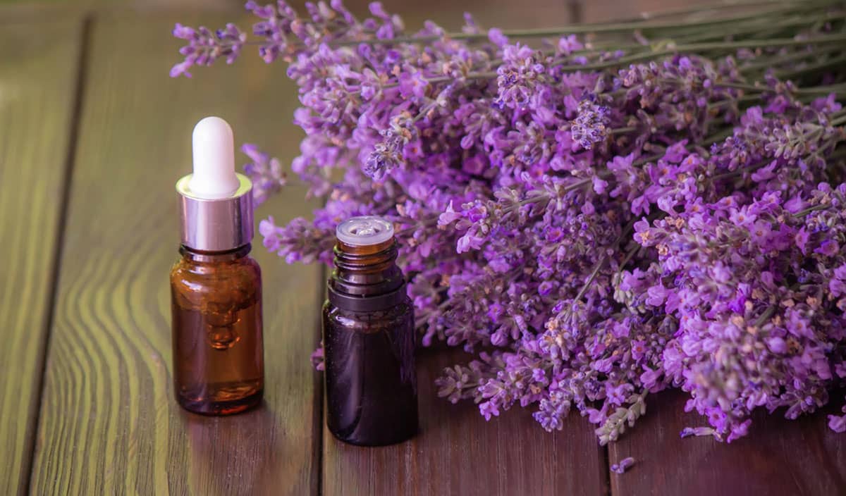 Lavender Essential Oil