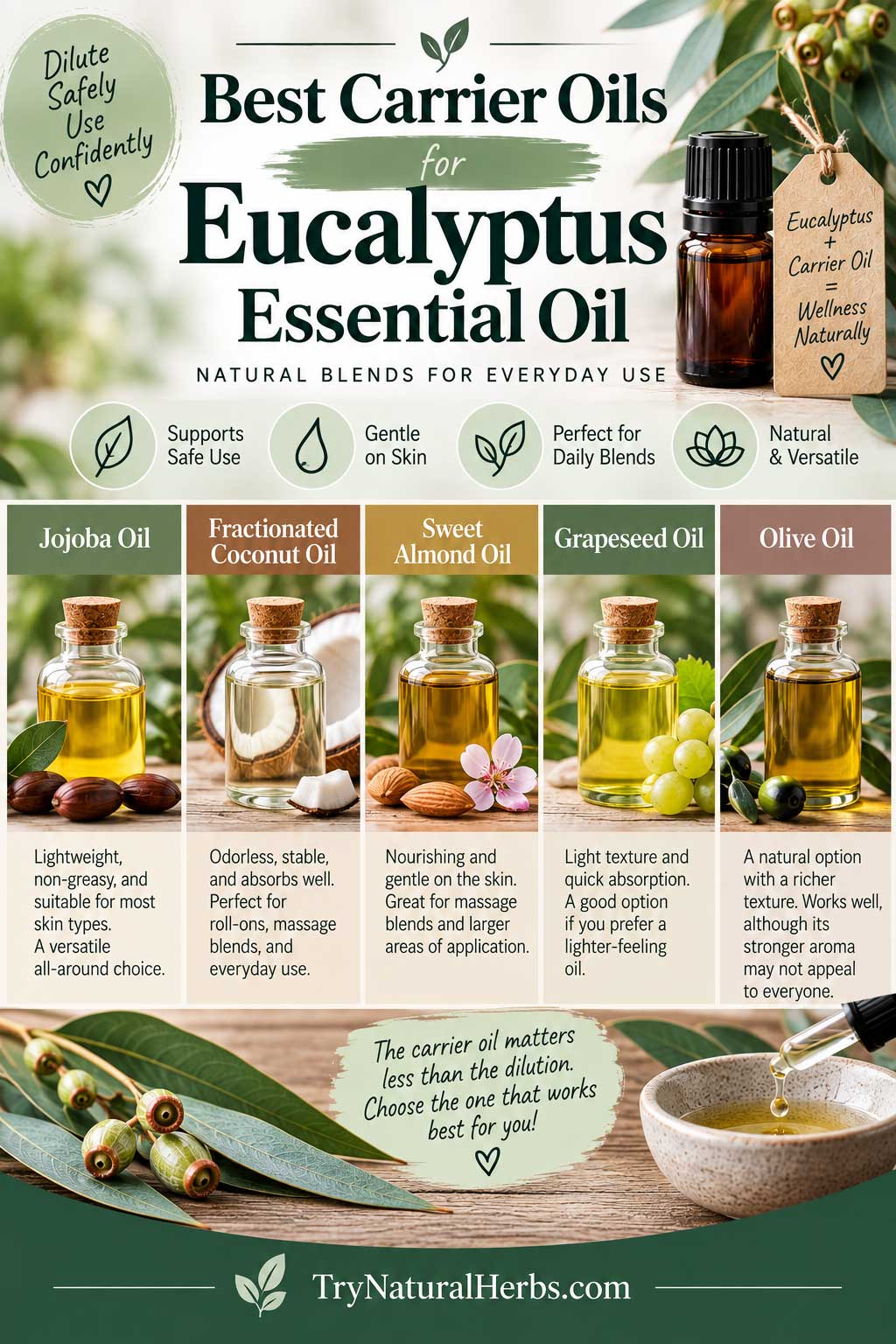 Best Carrier Oils for Eucalyptus