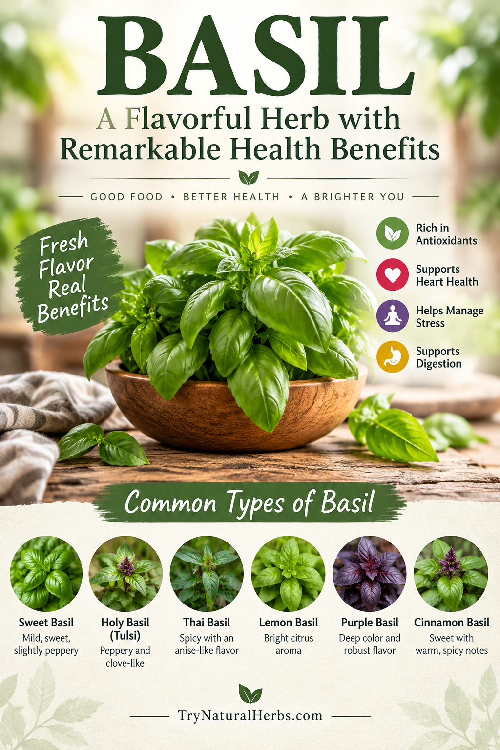 Common Types of Basil infographic