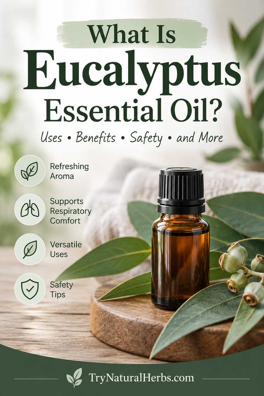 Eucalyptus Essential Oil Guide