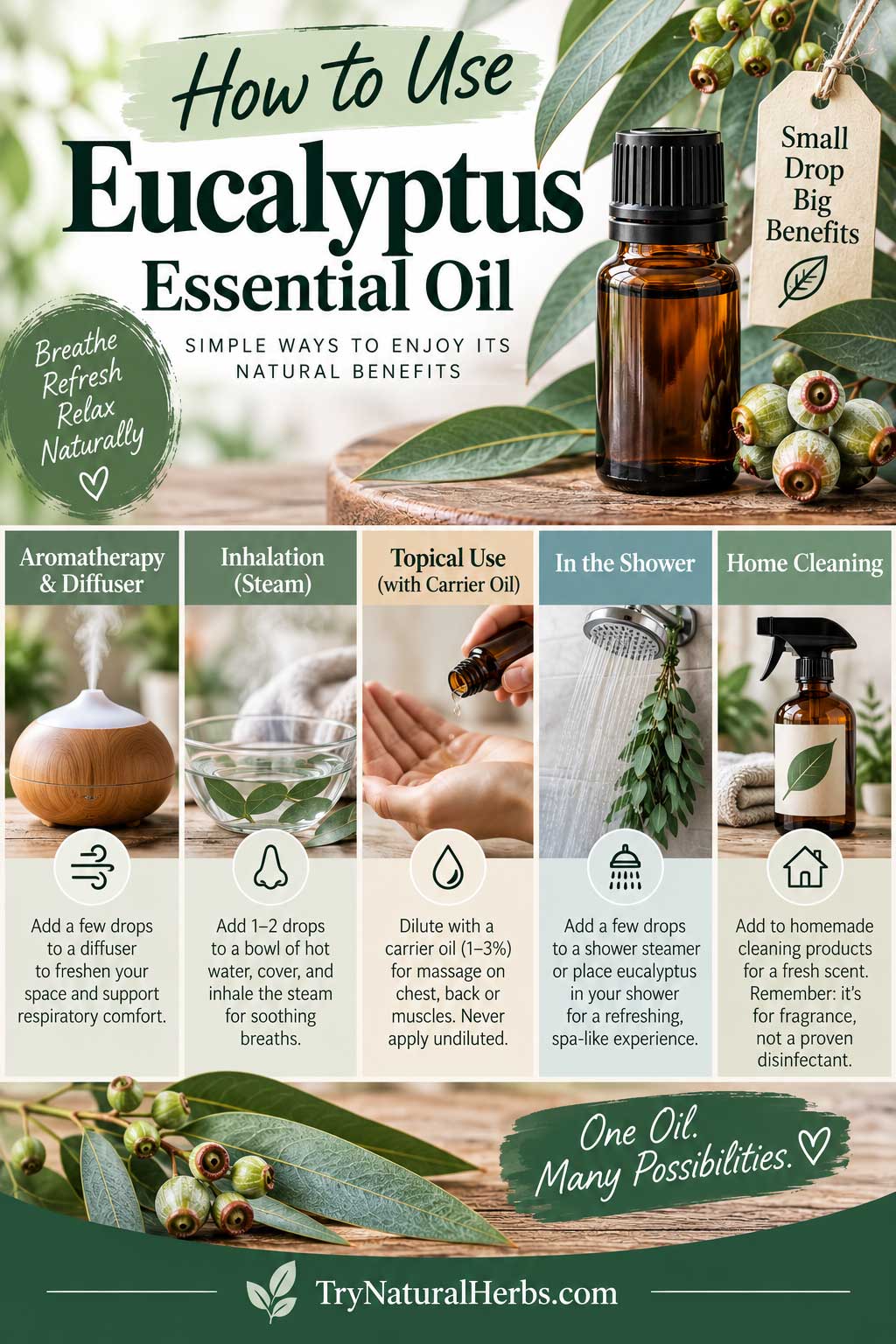 Eucalyptus Essential Oil Wellness Guide