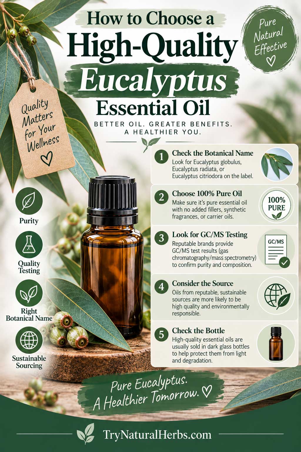 Eucalyptus Oil Quality Guide