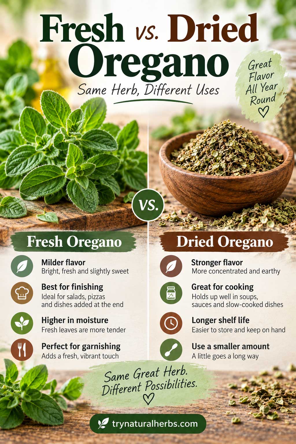 Fresh vs Dried Oregano Guide