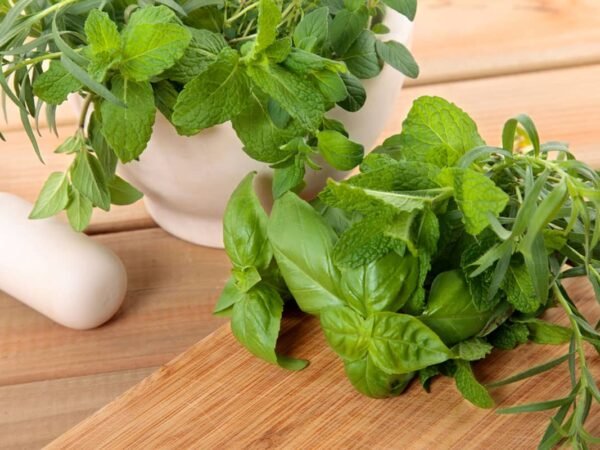 Health Benefits of Basil