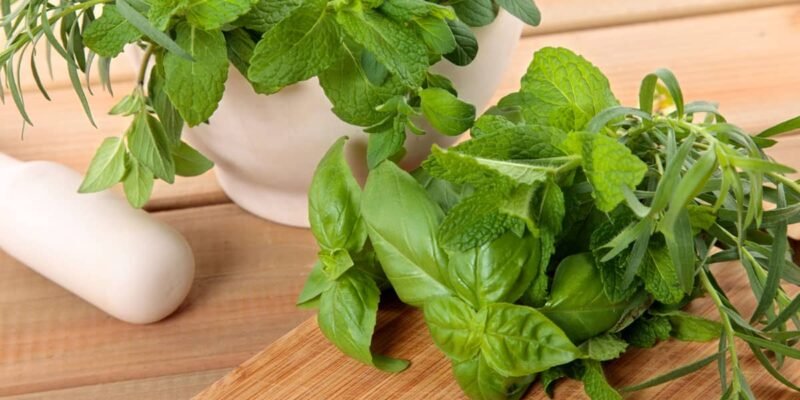 Health Benefits of Basil