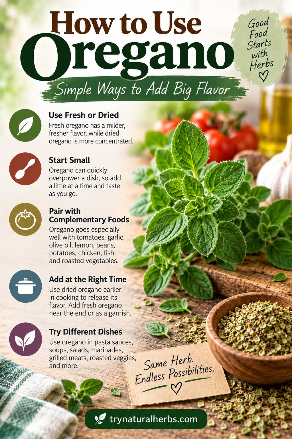 How to Use Oregano Infographic