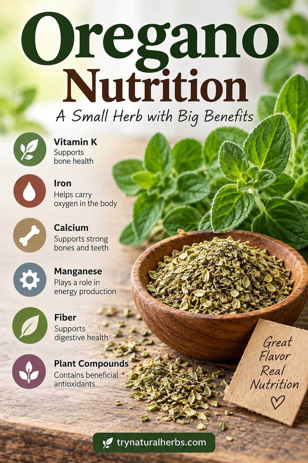 Oregano Nutrition Infographic