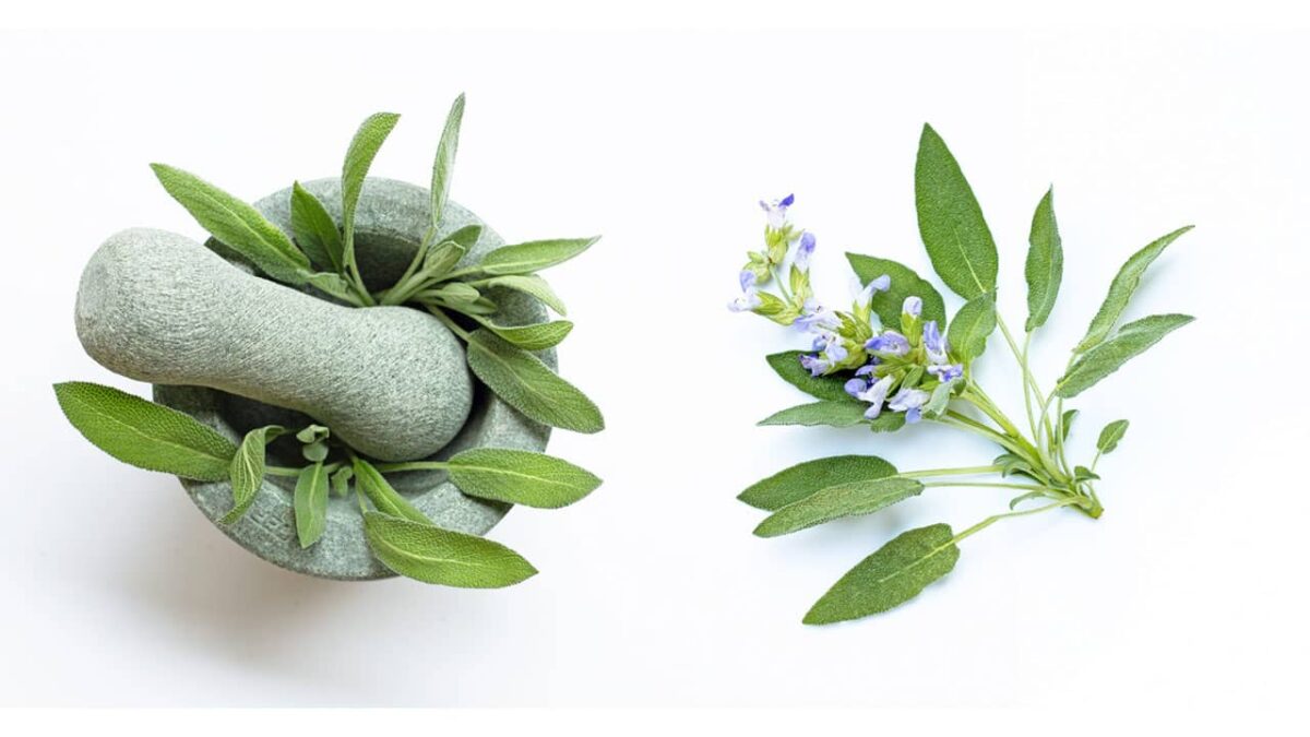 Sage benefits