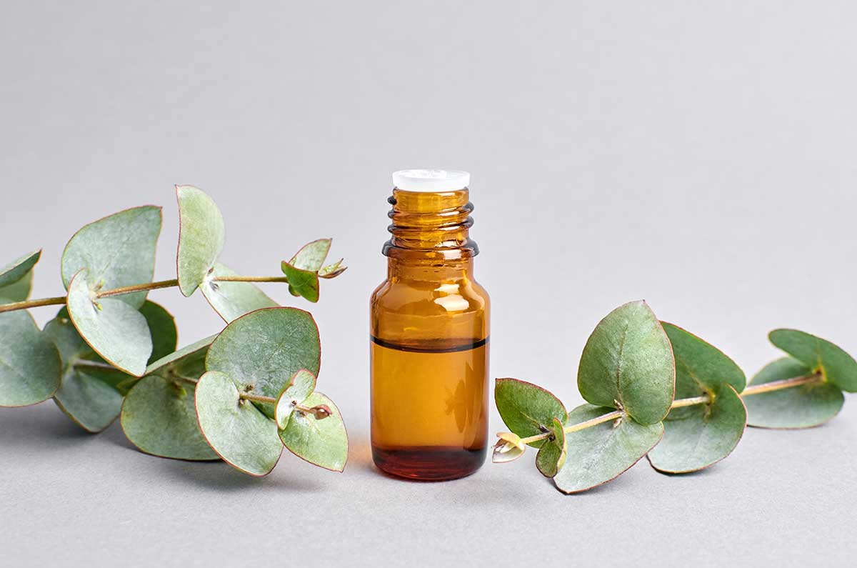 What Does the Science Say About Eucalyptus Essential Oil